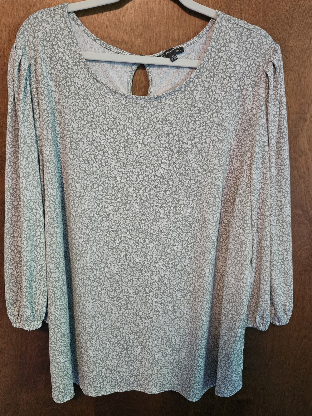 Adrianna Papell Light Green Floral Long-Sleeve Bubble Top